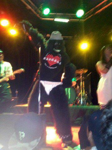 stevenschub's tweet photo. Just think of all the legendary rockers who've played Hollywood's "Whisky a Go Go" on the Sunset Strip:
The Doors, Led Zeppelin, Jimi Hendrix, Van Halen, Guns N' Roses, and... this ape in a diaper singing a ska version of "Welcome to the Jungle" (aka Me! :)
#HaSkaLA #Memories https://t.co/sK6L8tlK4e