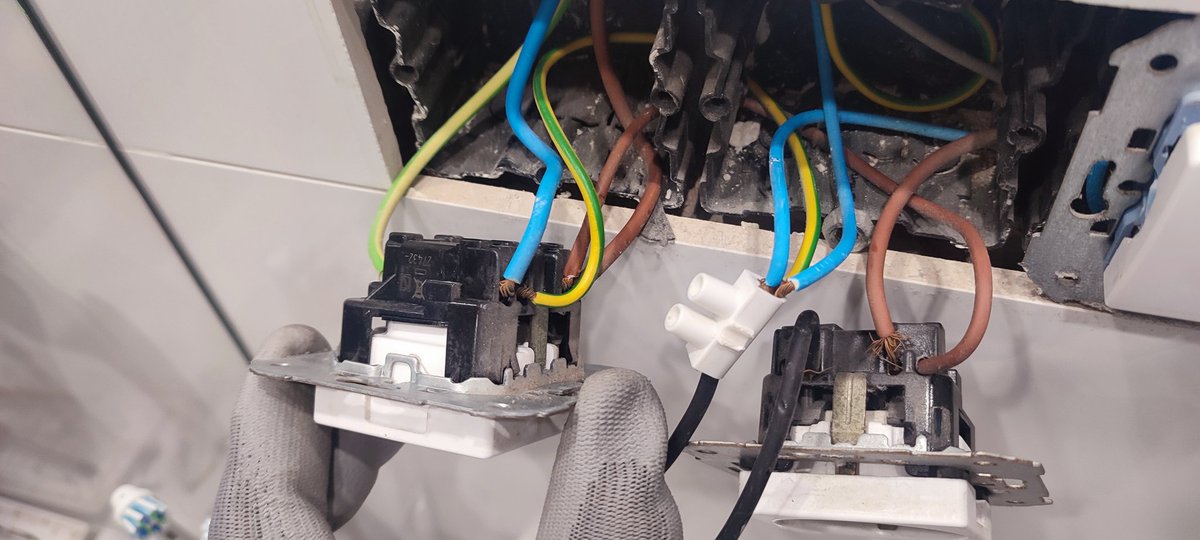 Eduard Gavin tweet media