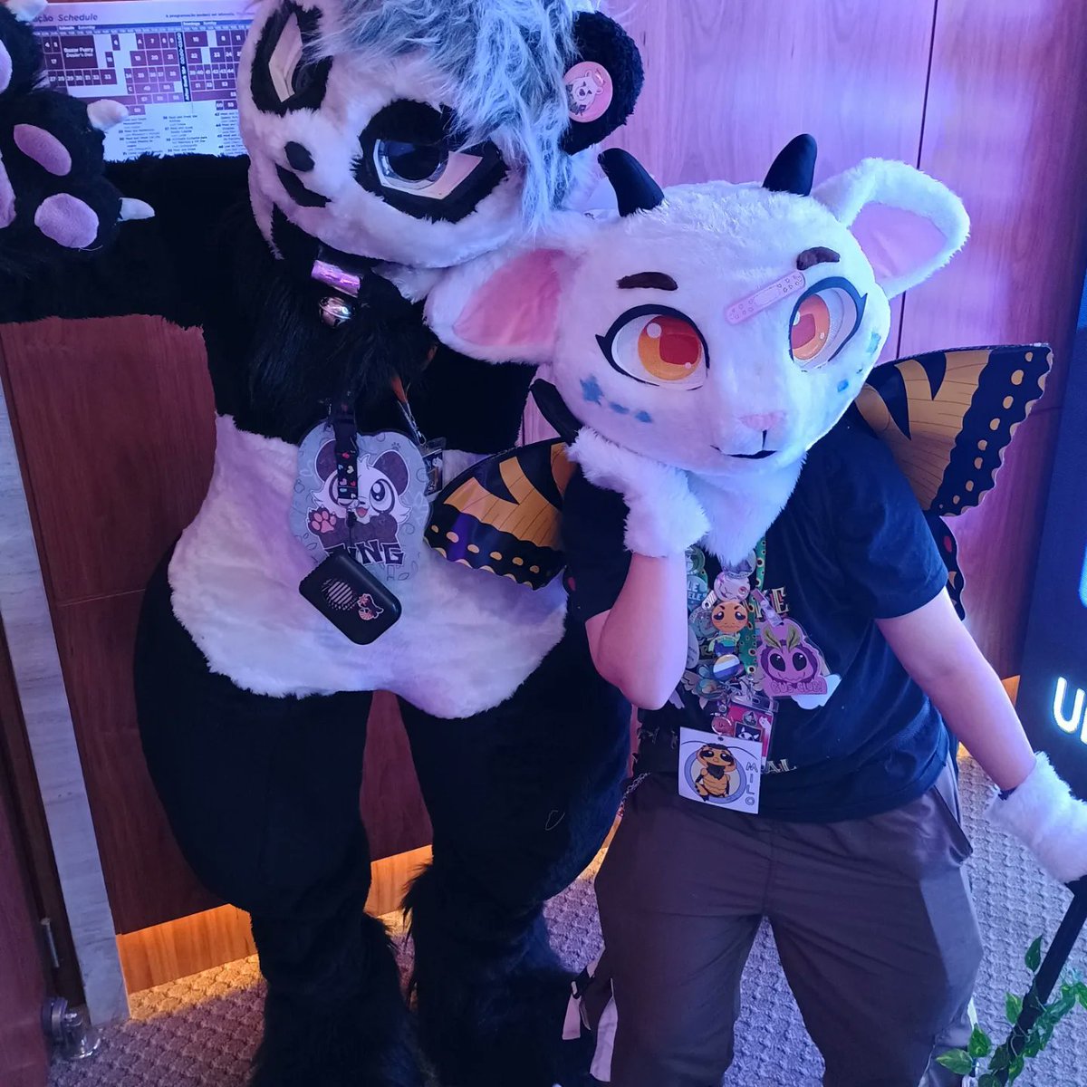 pingpanda_ofc's tweet photo. My friend Finny Fern I like a lot your #Fursuit #brasilfurfest2024 #furry #kemono #kemonofursuit #pingpanda https://t.co/OP5VZL3PTk