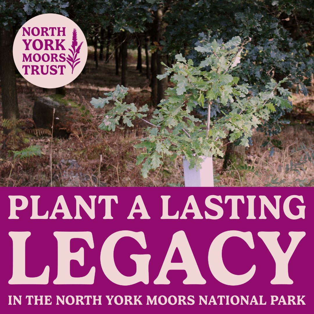 North York Moors Trust (@nymnptrust) on Twitter photo ๐ฃ๐น๐ฎ๐ป๐ ๐ฎ ๐๐ฎ๐๐๐ถ๐ป๐ด ๐๐ฒ๐ด๐ฎ๐ฐ๐ ๐ณ
Weโre committed to supporting nature and people to thrive.
This World Conservation Day letโs forge a healthy future together, donate a tree and fund projects which support people to connect with nature.
northyorkmoorstrust.uk/planting-a-lasโฆ ๐ฃ๐น๐ฎ๐ป๐ ๐ฎ ๐๐ฎ๐๐๐ถ๐ป๐ด ๐๐ฒ๐ด๐ฎ๐ฐ๐ ๐ณ
Weโre committed to supporting nature and people to thrive.
This World Conservation Day letโs forge a healthy future together, donate a tree and fund projects which support people to connect with nature.
northyorkmoorstrust.uk/planting-a-lasโฆ