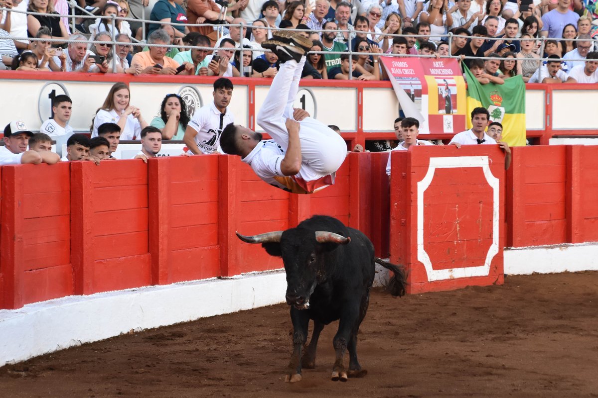 OnetoroRecortes's tweet photo. 😎 La última eliminatoria del I Campeonato de Recortadores OneToro - Tauroemoción nos dejó GRANDES MOMENTOS

✌️ Os dejamos con las mejores instantáneas de la tarde

🔜 Nos vemos en la semifinal el 10 de agosto en Huesca. EN EXCLUSIVA en OneToroTV

📸: Lara Toca

👇 Sigue hilo https://t.co/ibVhYOg2Wq
