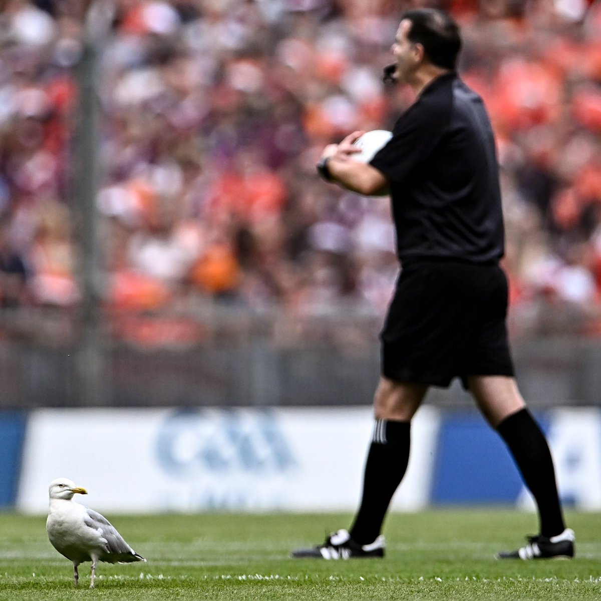 The Sunday Game tweet media