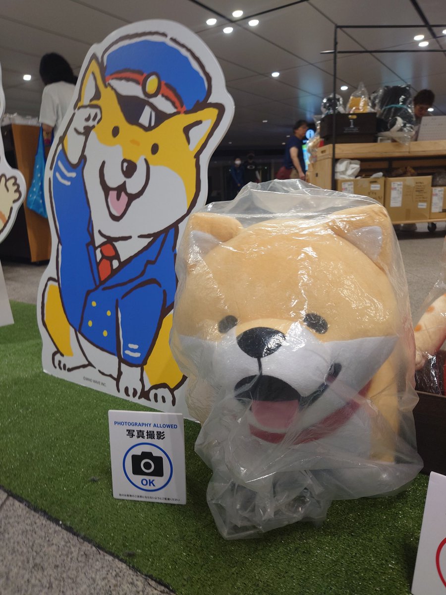 aibo_seifor's tweet photo. 🗼🌻♥️ SeiforCafe  ♥️🌻🗼

#aiboファンミーティング
このコ…気になりますね…❤
#東京駅 の…きなこチャン…！？

#aibo #aibofan #mystorywithaibo
#aiboとの生活 #aiboファンミ１８
#SeiforCafe #aiboファンミーティング https://t.co/WPTdtHZLDE