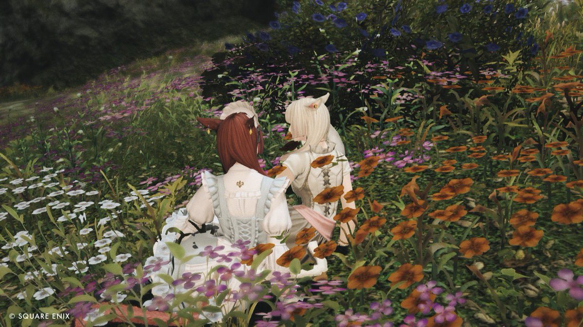 amerigames's tweet photo. 再会を果たした日💐

#ff14  #FFXIV https://t.co/0CR3xJnZH2