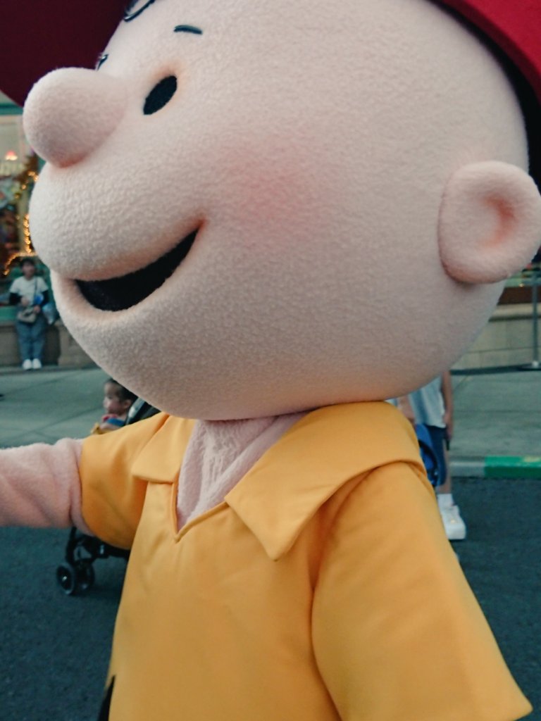 Mari365K's tweet photo. ほんまに丸いんよ https://t.co/QIZtE84t2T