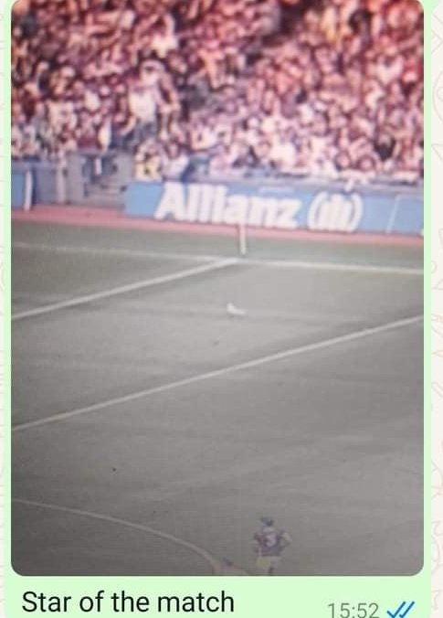 Someone cover that mad b*stard!  🤣 #AllIrelandFinal