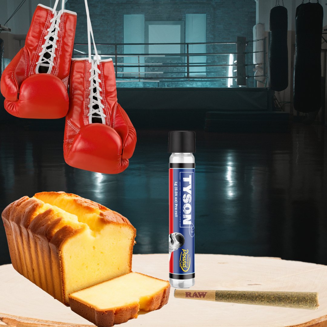 dabbsdispoms's tweet photo. Punching above its weight with flavor! Knockout taste in every hit. @SouthernSkyBrandsOfficial 🥊💨

#knockoutflavor #vapelife #powerpunch #tastebudtreat #flavorburst #smoothpuffs #boxingandvape #vapecommunity #vapeon #flavorchamps #SouthernSkyBrands #DABBS #SouthernSkys https://t.co/9IdrYtJph2