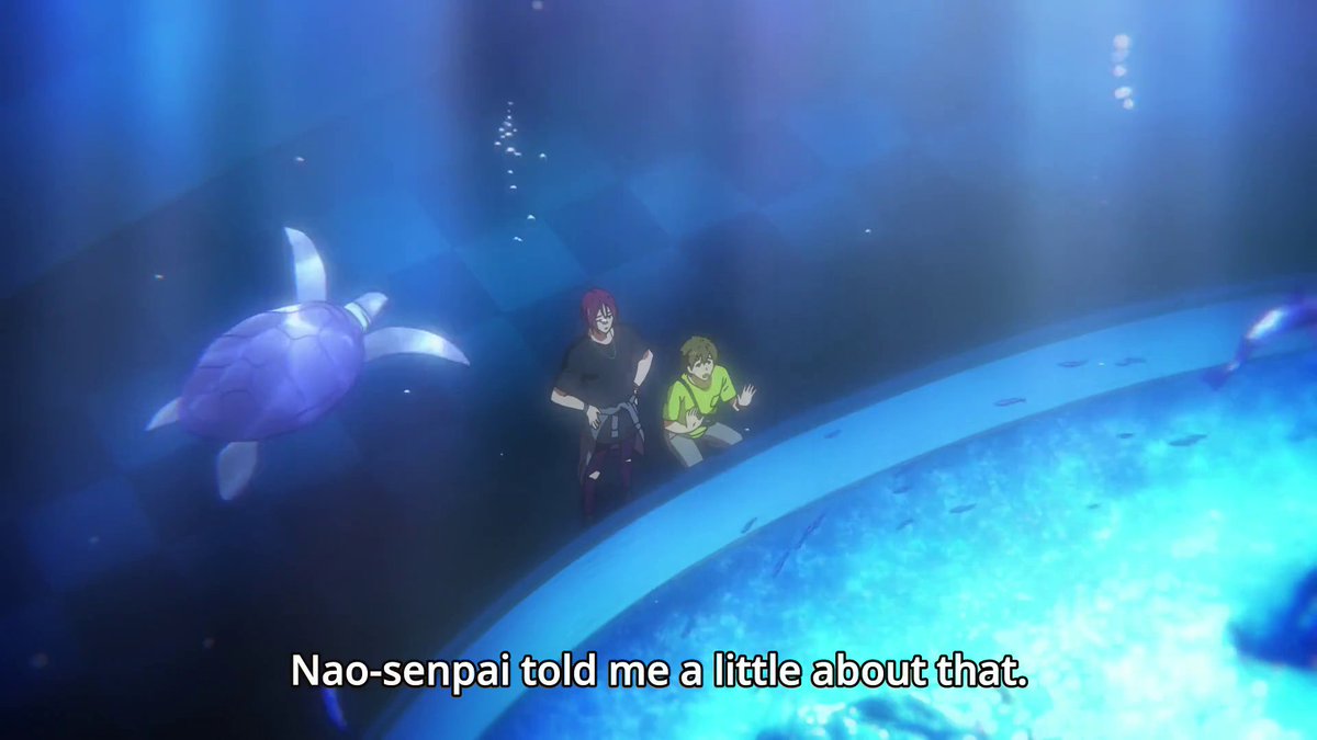 next_cookie's tweet photo. I want a livestream of this aquarium. Kyoani, pls!
#FreeDiveToTheFuture
#GoForGoldRewatch https://t.co/fxGtNwXj8P