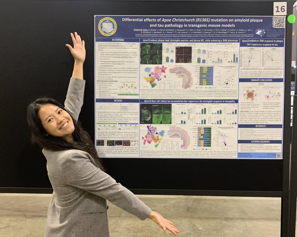 If you’re at #AAIC24, come by poster 16 today (Sunday) to learn more about the differential effects of the Apoe Christchurch variant on amyloid and tau pathology! 

<a href="/Model_ad_alz/">MODEL-AD</a>