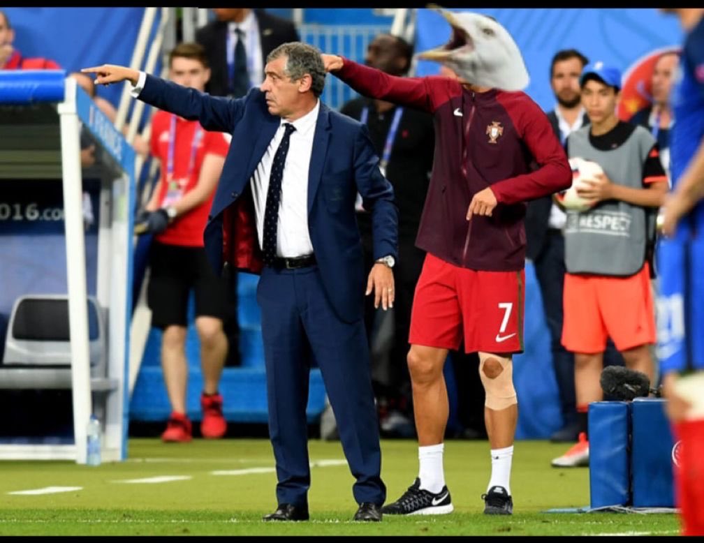The seagull in the second half #AllIrelandFinal #ArmaghvGalway
