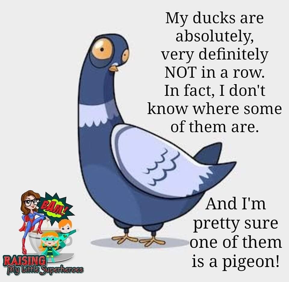 The Mystery of the Painted Buntings | The Aiken Chronicles, image size:960x939