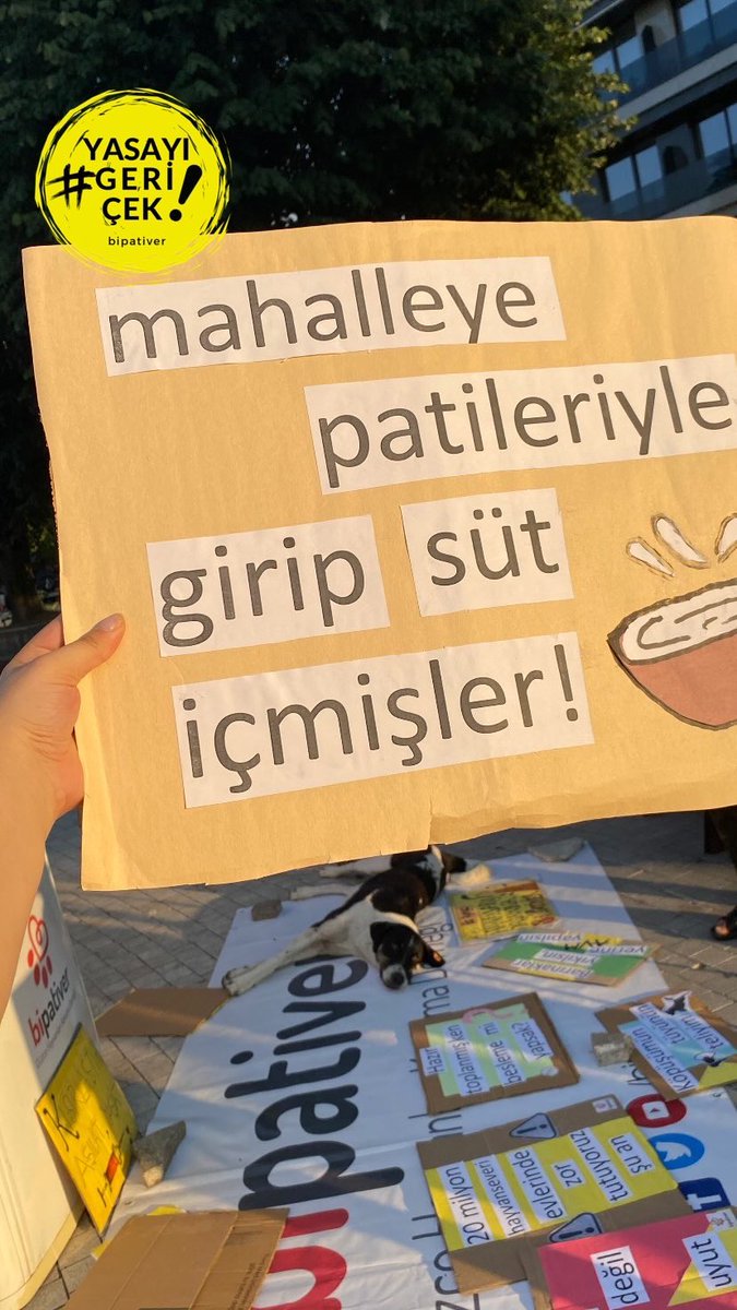 “Mahalleye patileriyle girip süt içmişler!”

📍Düzce

#yasayıgeriçek #katliamahayır