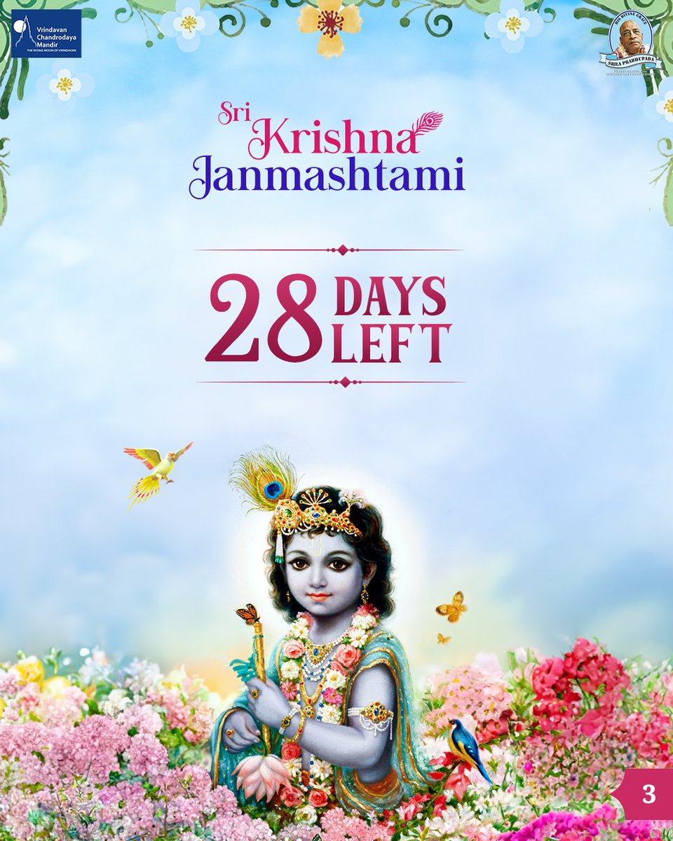 VCMVrindavan's tweet photo. 🪷Murari🪷
Krishna is known as Murari, as he slew the demon by the name mura.
🪷28 days to go for Sri Krishna Janmashtami
#VrindavanChandrodayaMandir #Vrindavan #tallesttemple #VCMwaliJanmashtami #Janmashtami #ExploreBraj #Murari #lila #Krishna #Radha #HareKrishna #SrilaPrabhupada #divine #Devotion #RadhaKrishna