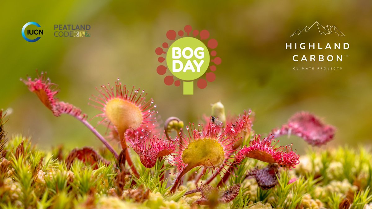 highlandcarbon's tweet photo. #WorldBogDay recognises the importance of peatland bogs for climate change mitigation and biodiversity. We restore damaged peatlands to generate carbon credits for our business clients.
#BogDay #PeatlandCode #InternationalBogDay #WorldBogDay @IUCNpeat @IUCN #peatland #CarbonZero https://t.co/euv1lbvgH9