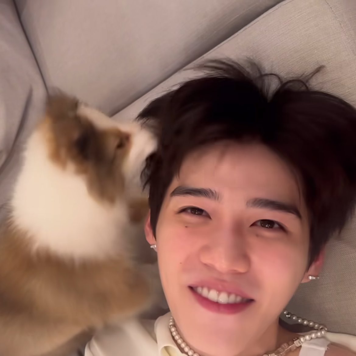 heybiw (@iheartharibo) on Twitter photo 