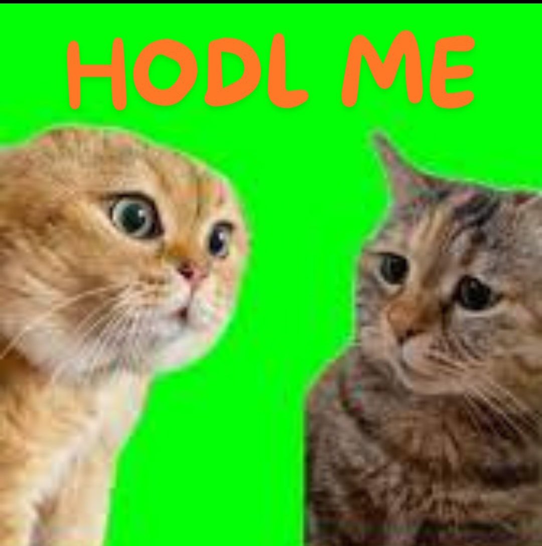Redlion35's tweet photo. 1 x Winner $SOL or 25 $ ⏰24 hrs 

♦️RT follow @solana_meme1  🔔
♦️Tag 1 frens 

#bsc #binance #eth #solana #SolanaMemeCoin  #p2e #gaming  #defi #eth #bitcoin #btc #memecoins https://t.co/c2mPBvJjzc