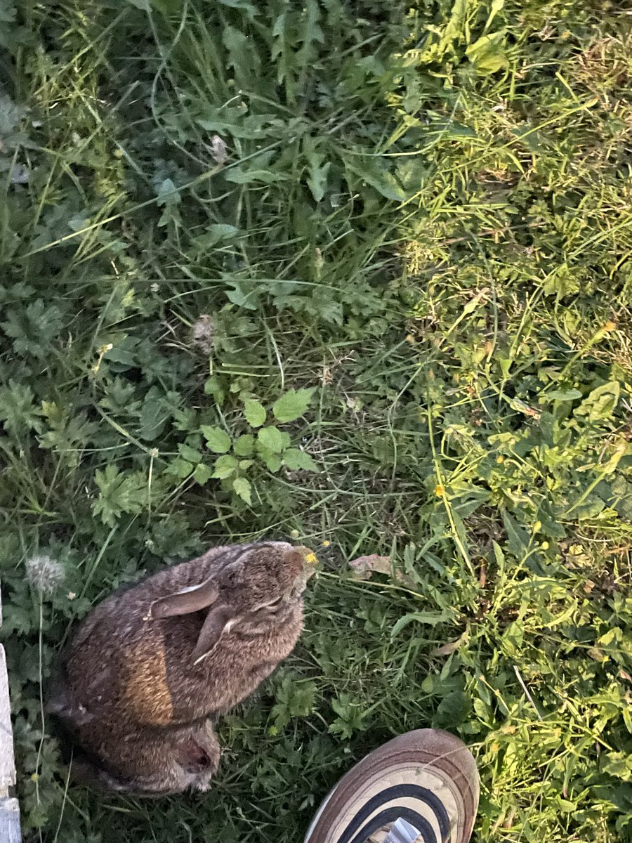 Teezy-E ⚡️ tweet media