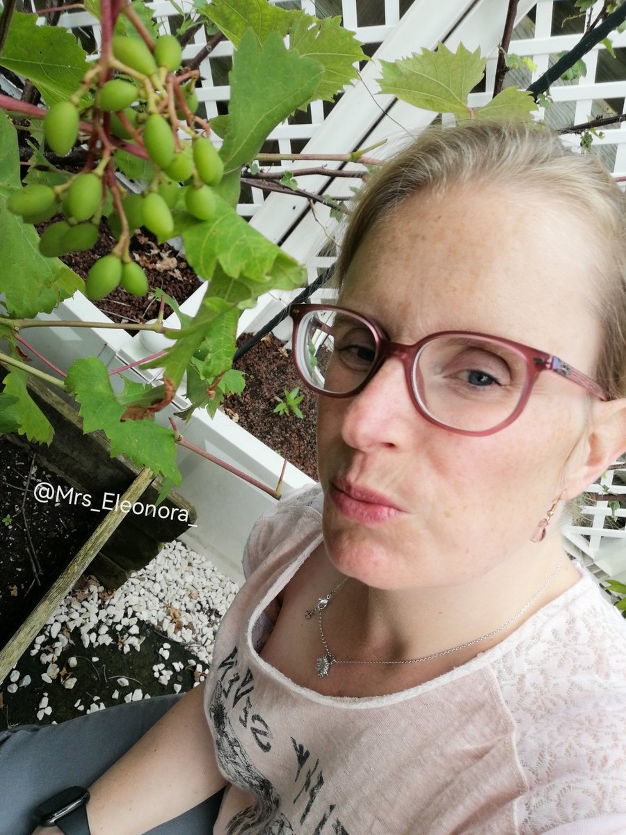 Mrs_Eleonora_'s tweet image. "Houston, we almost have wine"🤣

 Fijne avond jullie💋
#eigenkweek #selfie #secretgarden #grapes