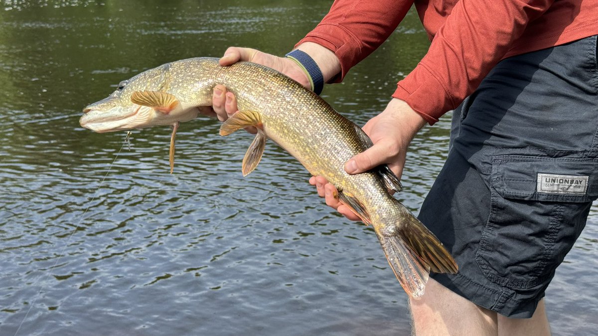 The fish are biting today. Literally. 🐟🦈