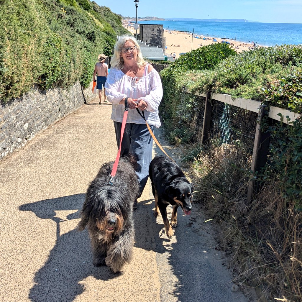 Molly Bear & Flossie tweet media