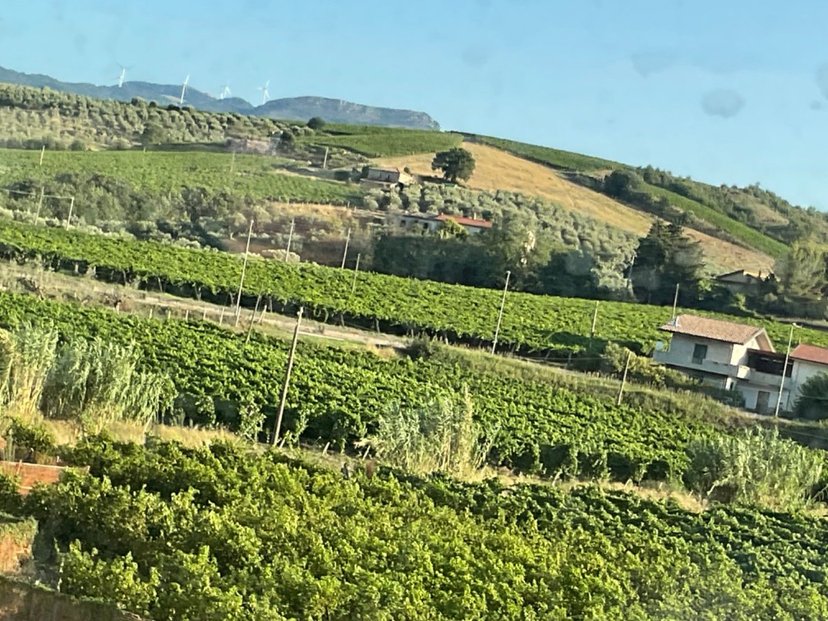 profgrsinha's tweet image. The travel to #romatermini from #benevento was amazing. What a wonderful #frecciarossa train, runs with 300 km/h with smoothness and most comfortable ways. 
Loved it. Must explorable and must visit placd and travel.
#rome #Italy 
Thank you @UstaUnisannio for the invitation!
