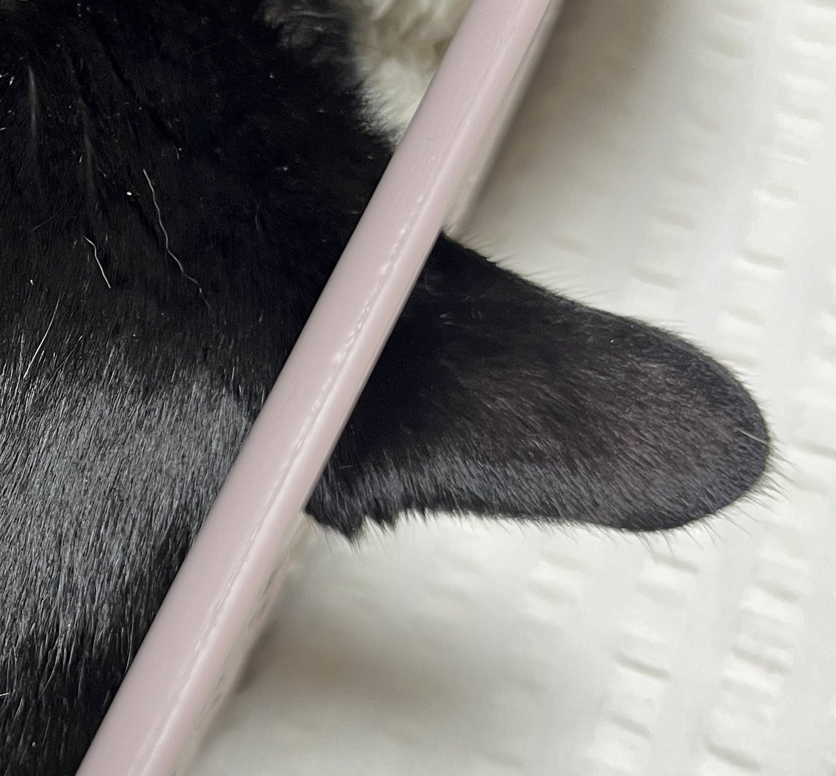 우리 아이 이거 어떻게 생각해요