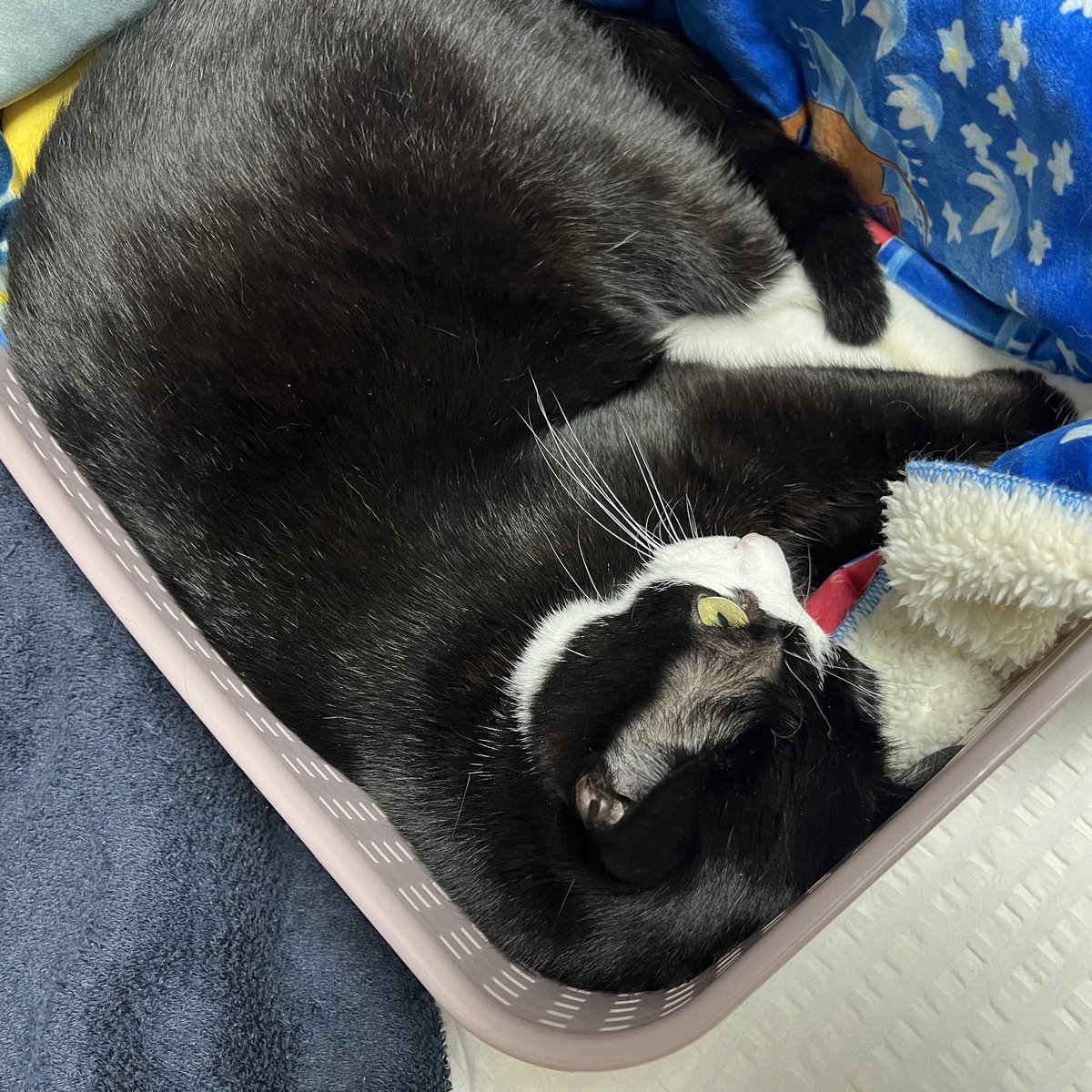 씨끄럽게 짤깍거려서 깻자나