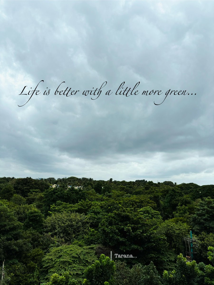 Life is better with a little more green...🍀🌿🍃

#GreenPlanet #Beauty #life #LifeIsBeautiful #harmony #poetrycommunity #readingcommunity #journey #journeyoflife #WritingCommunity #Sky #Earth #writing #Souls #NatureBeauty #Stories  #Peace #Bangalore #India #Growth #Nature #Earth