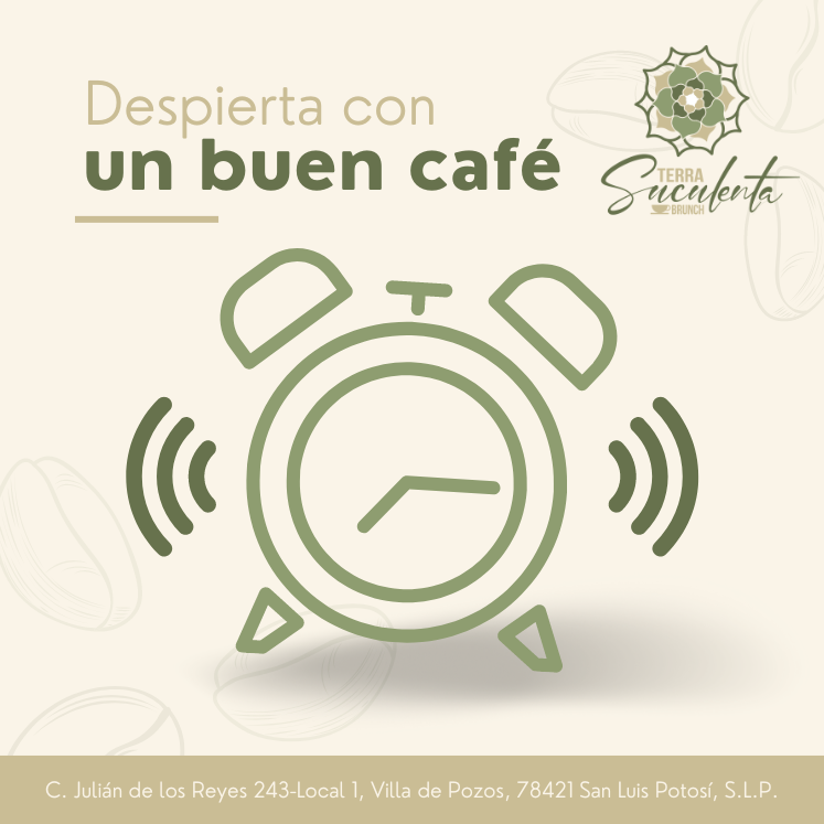 TerraSuculentaB's tweet image. ¡Despierta con el Mejor Café en Terra Suculenta! ☕️🌞
Comienza tu día con una taza de nuestro café, cuidadosamente preparado para inspirar tu mañana. ¡Ven y descubre por qué nuestro café es el mejor compañero para tu inicio de día!

#CaféQueInspira #TerraSuculentaBrunch #Ca ...