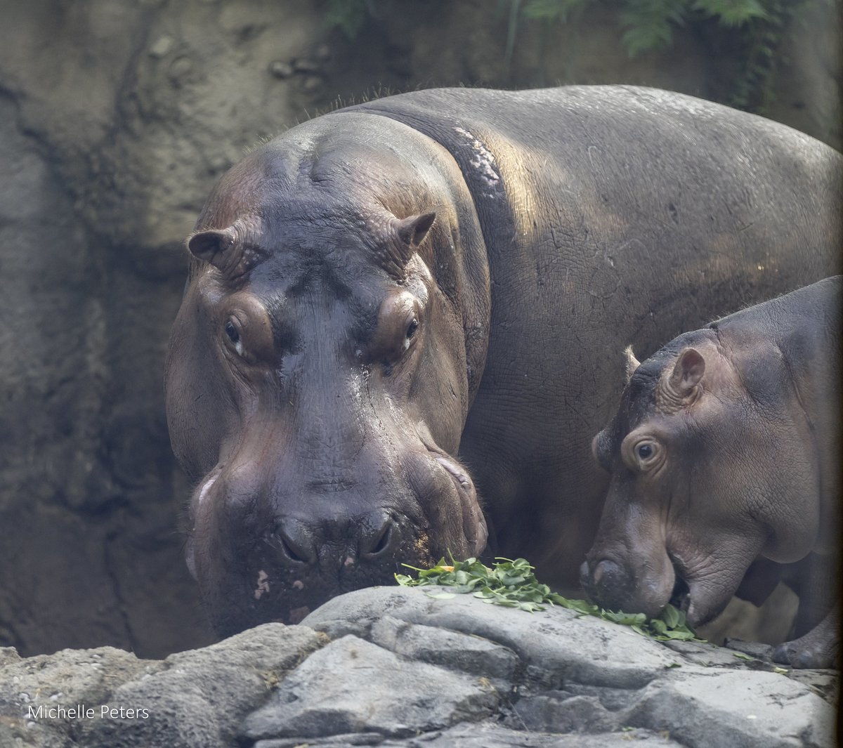 Fritz and Tucker share a snack!