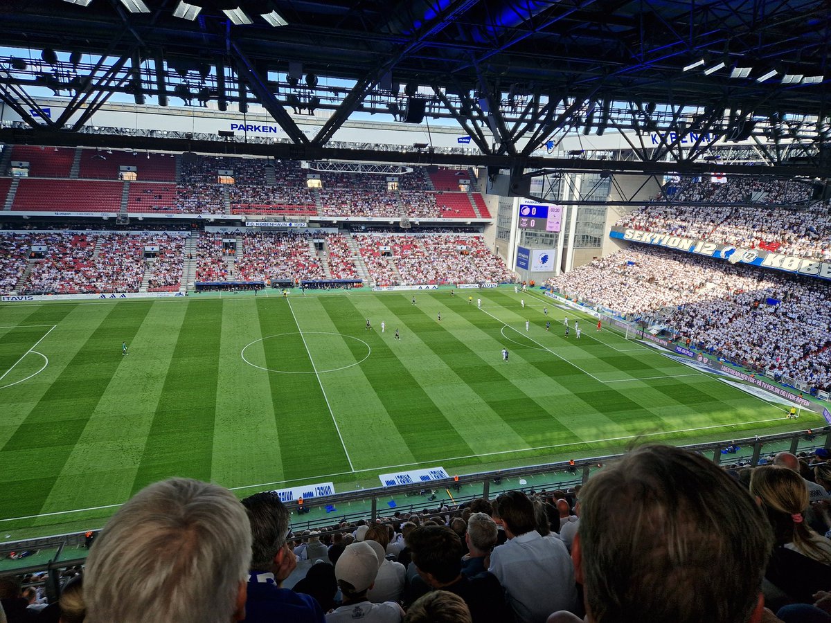 TomRints's tweet image. Dalsgaard + Rosler watch 🐝