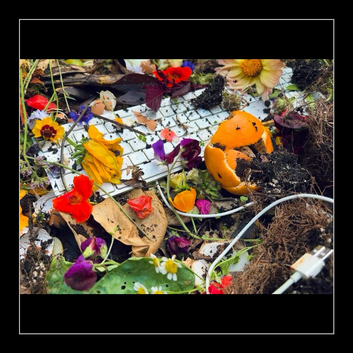 New on Are.na Editorial** 

Introducing Ecologies of Entanglement, a new series from Are.na and Dark Properties that collapses natural ecologies and networked technologies into one future-defining tangle. 

are.na/editorial/intr… 

Dark
