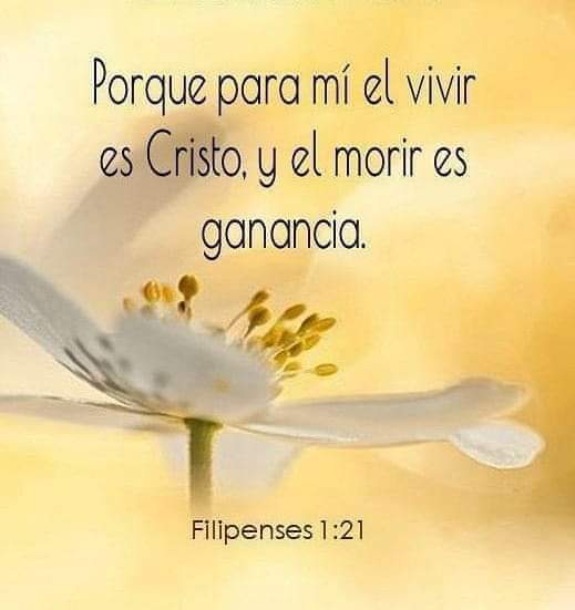 MagdaGuerrero's tweet photo. Filipenses 1:21  📖🙏🙏 https://t.co/75c4wGqglT