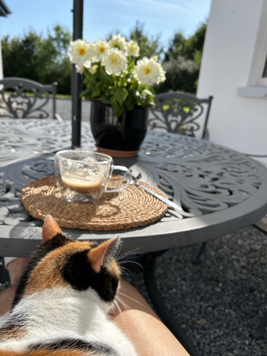 Mag Goldsmith Stamp tweet media