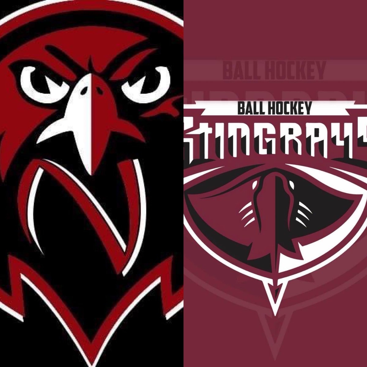 GAME 9:

🦅 7 - 1 🐠

#Tier3 #ballhockeyuk