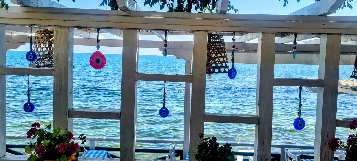 HalilMrT - Official tweet media