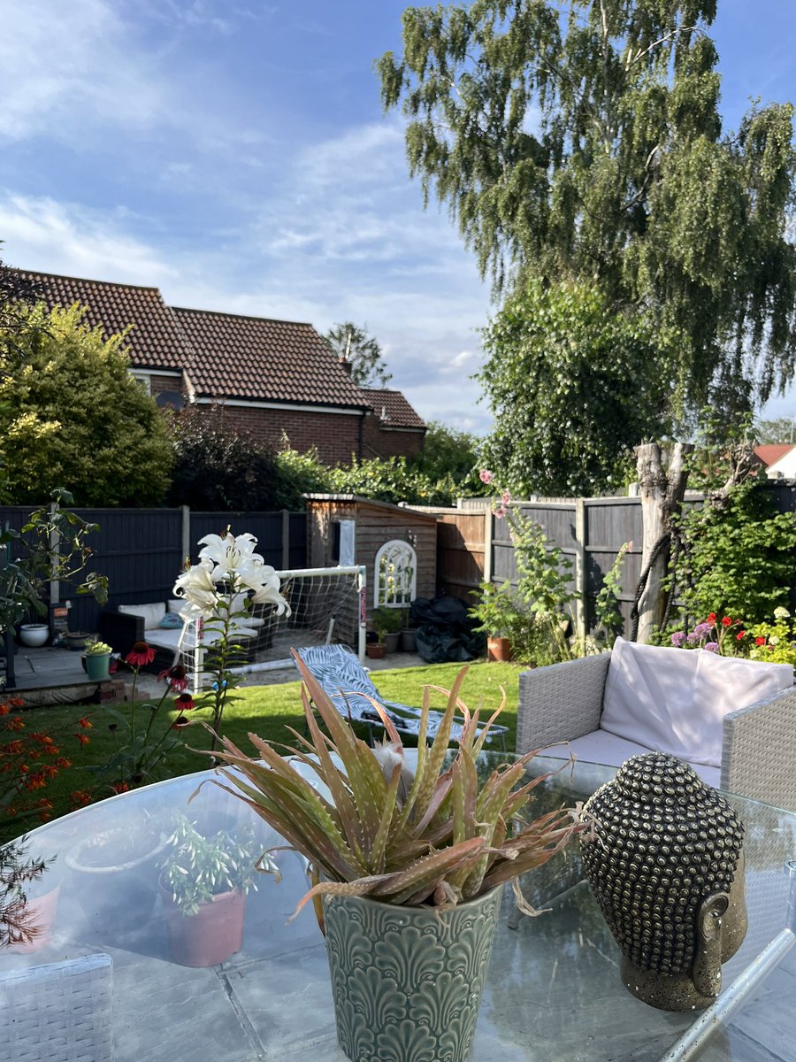 My little corner of the world this beautiful Sunday afternoon post Barby and a few beers in. Not much but all mine.