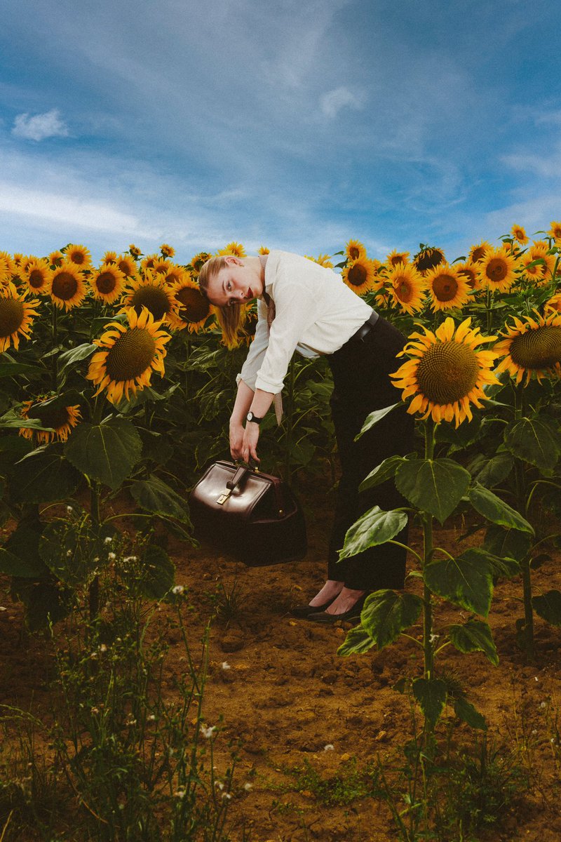 AlexVrhe's tweet photo. Retouches finale des photos, j’ai tenté quelque chose 🌻 https://t.co/cJZJpsmKw5