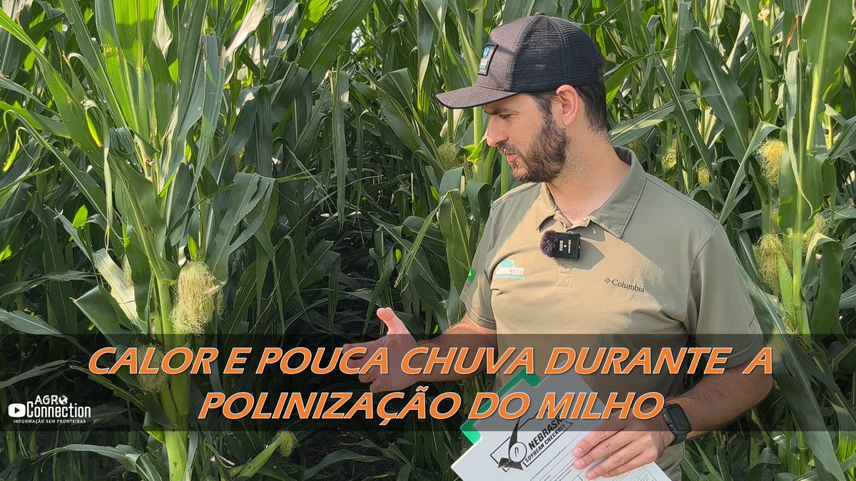 Agro Connection tweet media