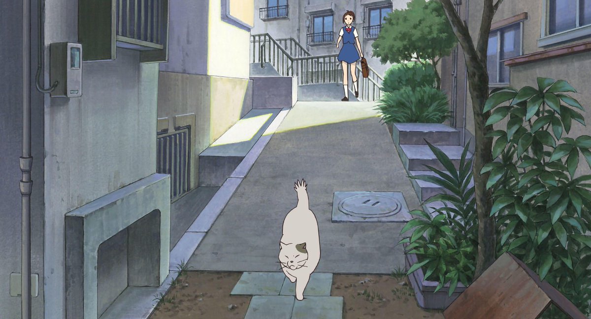 anime_'s tweet photo. The Cat Returns (2002) https://t.co/RoplpKVwAA