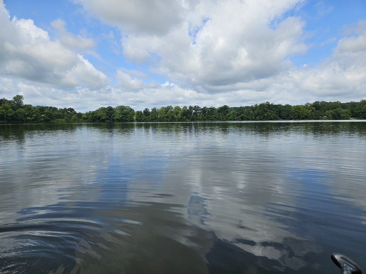 Dr. Erin Whitteck tweet media