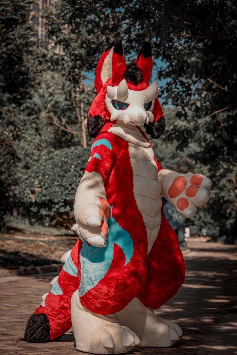 肚肚龙 （Do Do Loong）

红色玩偶面具小龙🧸 🧸
Plush Dragon, Masked 🧸🧸