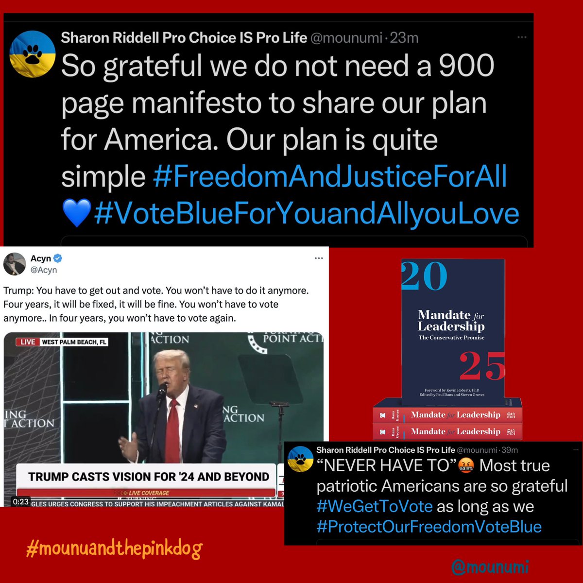 mounumi's tweet image. #ProjectNovember2024 ✊💙🌊