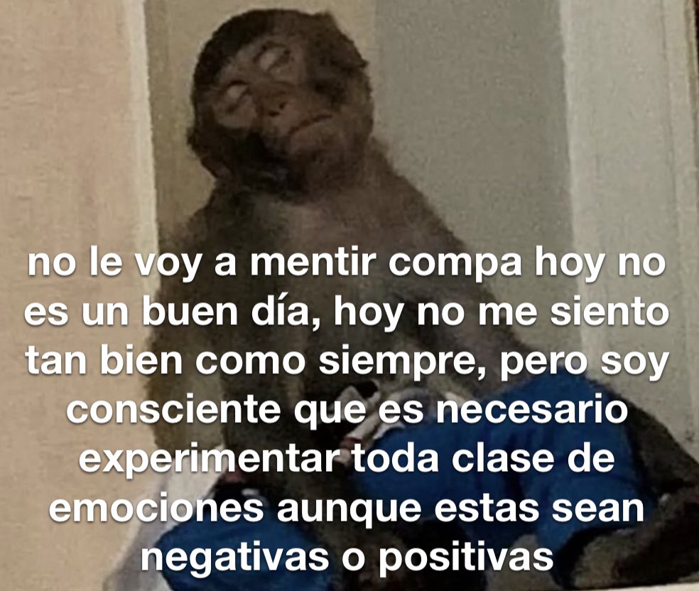 conoloracigarro's tweet photo. https://t.co/iOvzwdjWwA