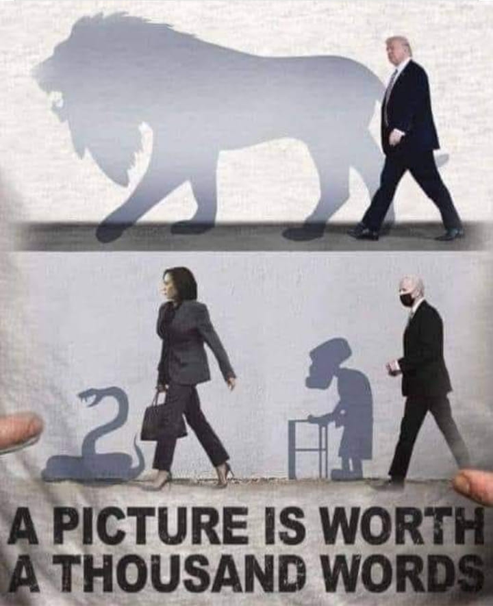 socialwolf4's tweet image. As was just pointed out to me. This will be the first job #VPHarrisForPresident where a man has pulled out.
@VP @POTUS @realDonaldTrump #teamwolfpack #thatisall