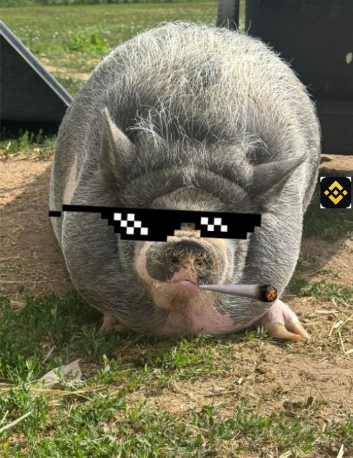 <a href="/IOHK_Charles/">Charles Hoskinson</a> Don't worry guys, $Nike still chilling...