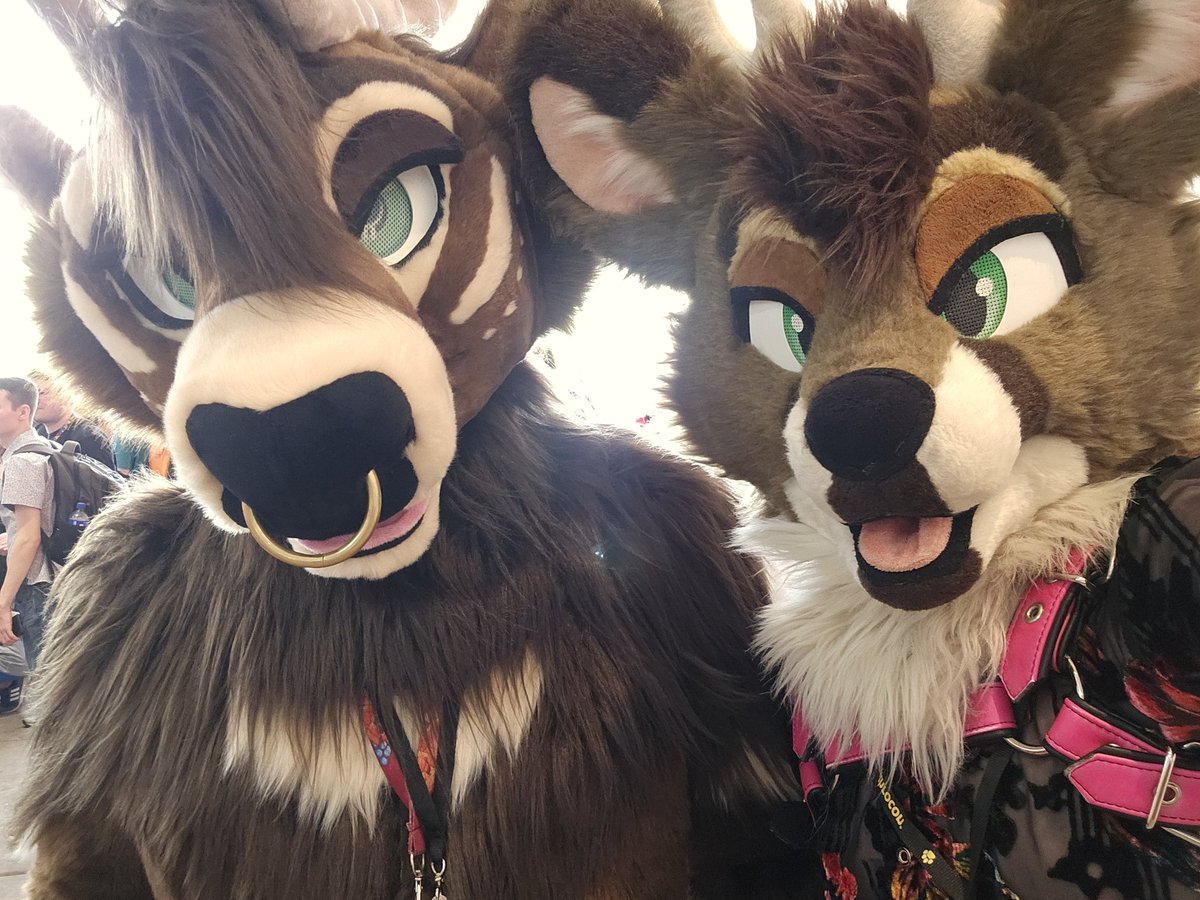 HMU if you're registered for LVFC and looking for potential roomies. :p