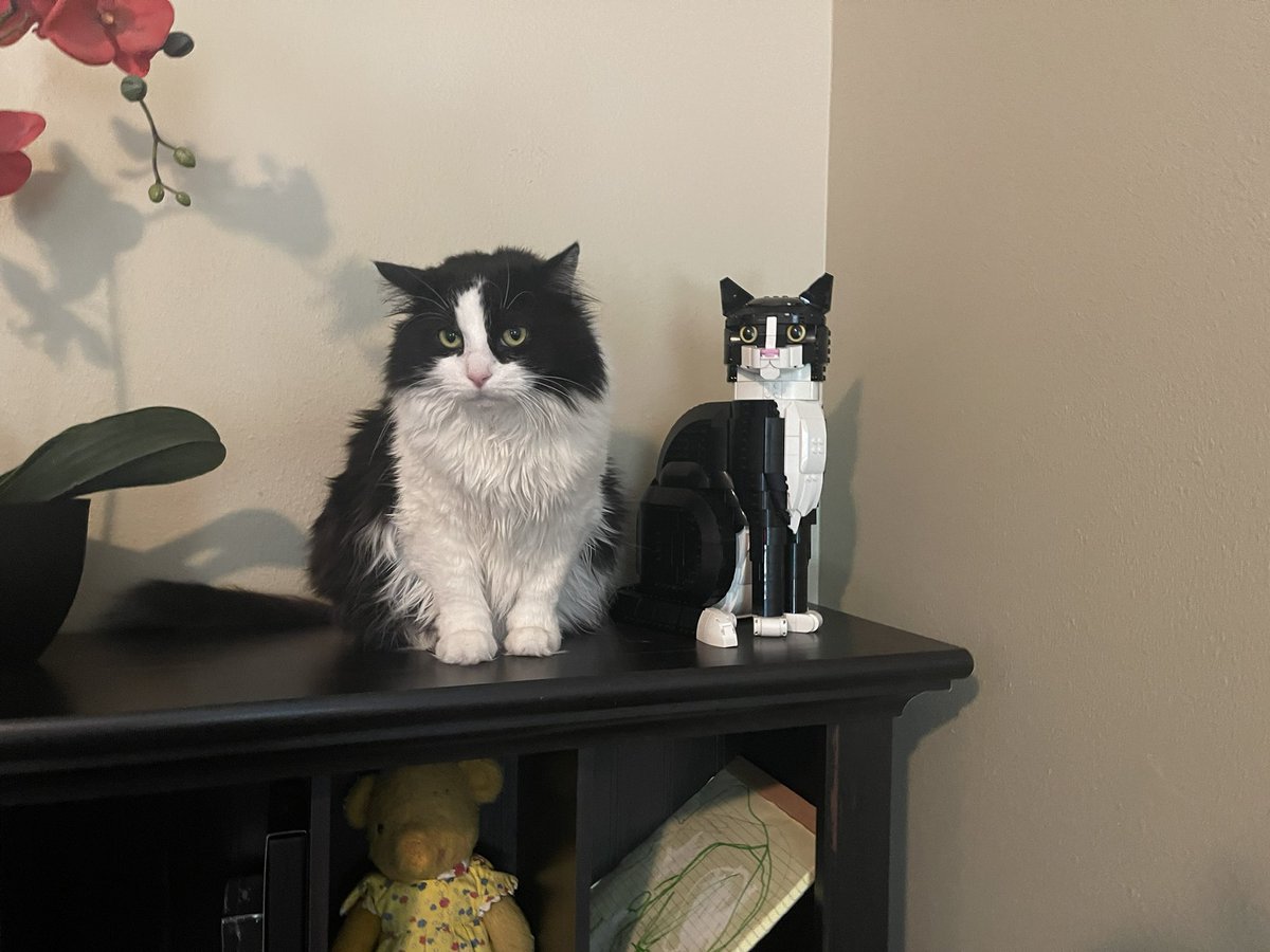 Michael Amstein AKA @BluBear.eth's Hume tweet media