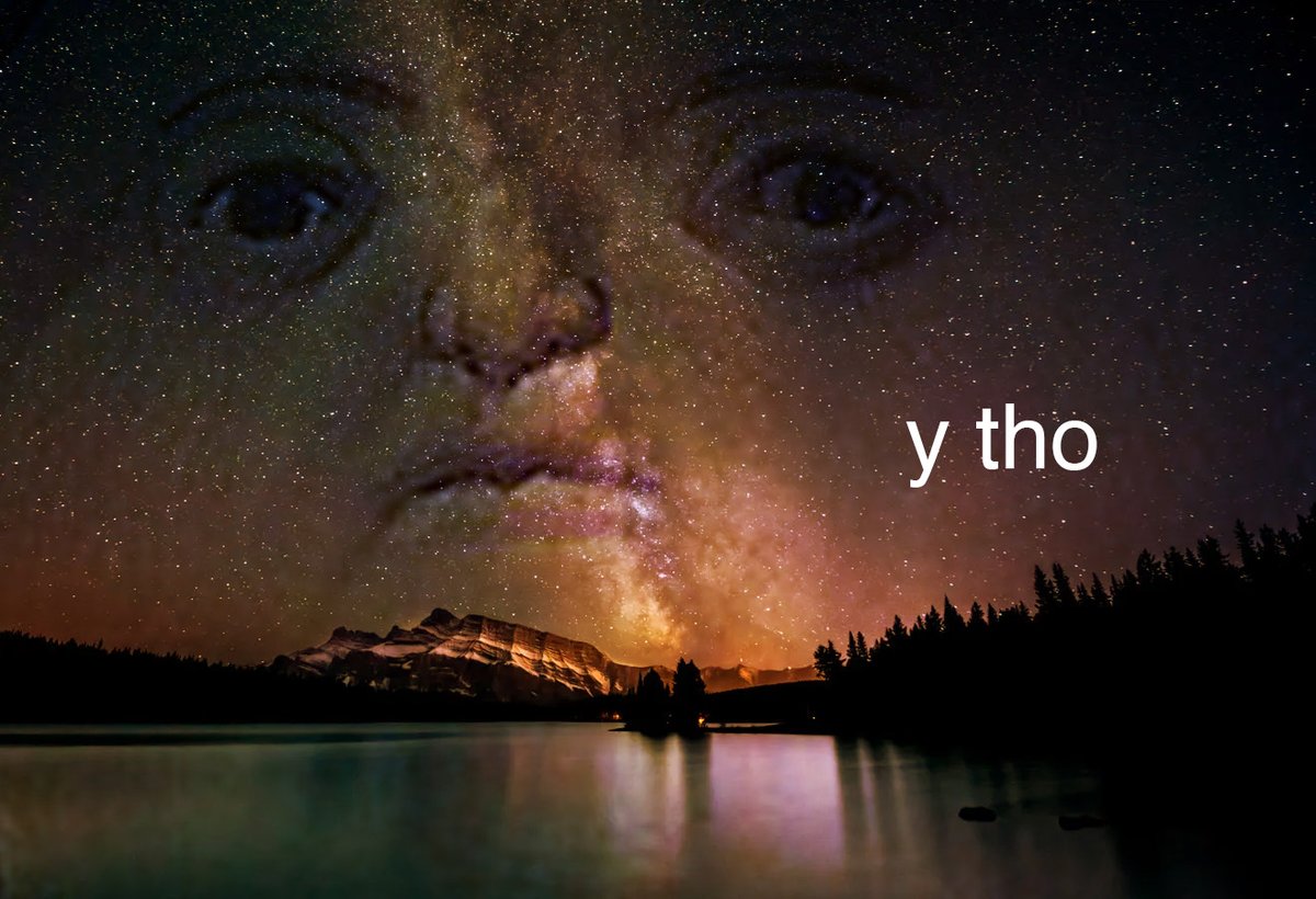 Larp von Trier tweet media