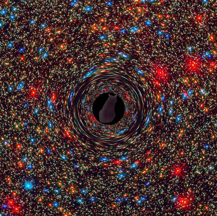 higherpower tweet media